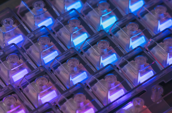 Silent Alpaca V2 Linear Switches - Zkeebs